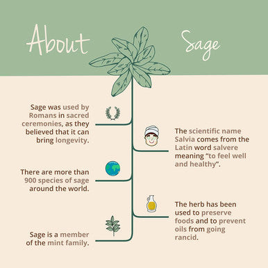 Sage VegaveroÃƒâ€šÃ‚Â® | 100% Organic Leaf Extract | 120 Vegan Capsules | with 1% Rosmarinic Acid | Menopause, Hot Flushes & Night Sweats Relief | NO Tablets & NO Additives