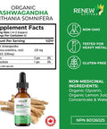 Renew Actives Ashwagandha Liquid - Essential Drops For Memory Enhancement, And Energy Increase. A Cleansing Rejuvenative Tonic And Sleep Aid Supplement - 120 Ml