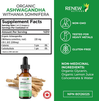 Renew Actives Ashwagandha Liquid - Essential Drops For Memory Enhancement, And Energy Increase. A Cleansing Rejuvenative Tonic And Sleep Aid Supplement - 120 Ml