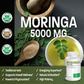 Bronson Moringa Extra Strength Capsules Moringa Oleifera Powder, 120 Count