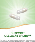 NatureS Way Pantothenic Acid Supports Cellular Energy 500Mg Per Serving 100 Capsules