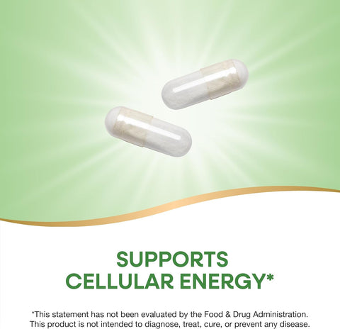 NatureS Way Pantothenic Acid Supports Cellular Energy 500Mg Per Serving 100 Capsules