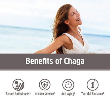Om Chaga Mushroom 667mg 75 Caps 75 Fl Oz