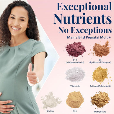 Best Nest Wellness Mama Bird Prenatal Vitamin: Vegan Prenatal Vitamins for Women w/Methylfolate (Folic Acid) w/Organic Herbal Blend Prenatal Vitamins for Women B12 Choline Once Daily 30 Count