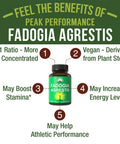 Fadogia Agrestis Ultra High Strength 10:1 Extract In Vegan Capsules. Support Athletic Performance, Boost Energy, Stamina. Usa Tes