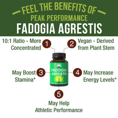 Fadogia Agrestis Ultra High Strength 10:1 Extract In Vegan Capsules. Support Athletic Performance, Boost Energy, Stamina. Usa Tes