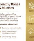Solgar Magnesium With Vitamin B6 250 Tablets - Promote Healthy Bone Mineralization Support Nerve & Muscle Function Energy Metabolism - Non-Gmo Vegan Gluten Free Dairy Free Kosher - 83 Servings