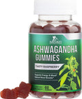 Nature'S Nutrition Ashwagandha Gummies for Women & Men 3000mg Equivalent Best Ashwagandha Supplement for Natural Antioxidant Support Energy & Immune Support Vegan Ashwa Root Extract Supplements Calm Gummy - 60 Count