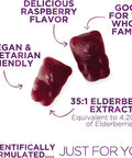 Nature'S Nutrition Sambucus Elderberry Gummies for Adults Teens & Kids - Super Concentrated 35:1 Extract Equivalent to 4200mg of Elderberries - Daily Immune Support Black Elderberry Vitamin Supplement - 120 Count