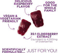 Nature'S Nutrition Sambucus Elderberry Gummies for Adults Teens & Kids - Super Concentrated 35:1 Extract Equivalent to 4200mg of Elderberries - Daily Immune Support Black Elderberry Vitamin Supplement - 120 Count