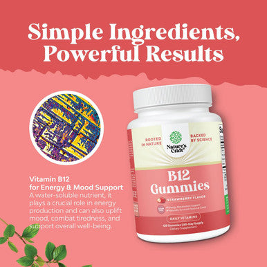 Natures Craft Sugar Vitamin B12 1000 mcg Gummies - Vegan B12 Gummies for Adults Energy Focus Immunity and Nerve Support - Vitamin B12 Gummies for Adults - Kosher Non GMO Gluten & Vegan (60 Servings)