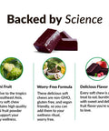 Force Factor Noni Chews for Immunity and Skin Health Support, Noni Juice Supplement, Plant-Based Antioxidant Superfood Chews, Gluten-Free, & Vegan, Apple Berry Flavor, 30 Soft Chews