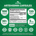 Zazzee High Absorption Artemisinin 100 Mg Per Capsule 120 Vegan Capsules With 5 Mg Bioperine For Maximum Absorption Sweet