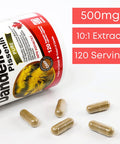 Nutridom Dandelion Root 500 mg (5000 mg Raw Equivalent) 10:1 Concentrate Ratio | 120 Vegan Capsules | Herbal Supplement for Liver Detox & Cleanse | Made in Canada