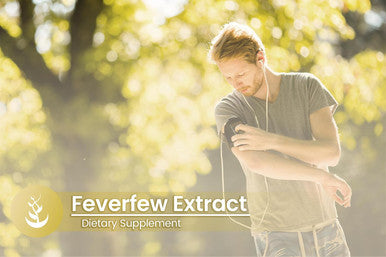 PURE ORIGINAL INGREDIENTS Feverfew Extract (100 Capsules) Always Pure, No Additives Or Fillers, Lab Verified