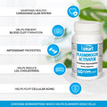 Supersmart Plasminogen Activator Supplement Blood Pressure Health Rich in Pterostilbene Nattokinase Serrapeptase Antioxidant NonGMO Gluten Free 60 DR Capsules