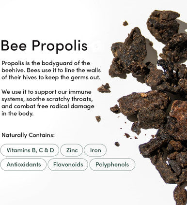 Beekeeper's Naturals Propolis Throat Spray by Beekeeper's Naturals - 95% Bee Propolis Extract, Natural Immune Support & Sore Throat Relief - Antioxidants, Keto, Paleo, Gluten-Free