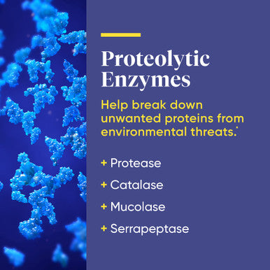 Enzymedica, Enzyme Defense Extra Strength, Advanced Dietary Supplement To Support Immune Health, Vegan, Kosher, Non-Gmo, 90 Capsu