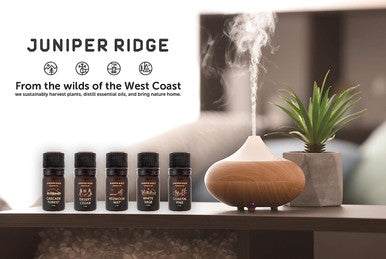 Juniper Ridge Coastal Pine Essential Oil