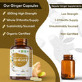 Weightworld Organic Ginger Supplement - High Strength 1300mg - Soil Association - 2 Ginger Root Capsules Per Serving - Vegan Joint & Digestion Supplement