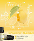 Asakuki Lemon Essential Oil 10Ml For Diffusers, Home, Candle&Soap Making, Therapeutic-Grade Aromatherapy Essential Oil, 100% Natural Diffuser Oil For Skin Care, Stress Relief&Mind Calming