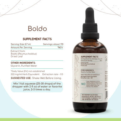 Boldo B120 Alcohol-Free Herbal Extract Tincture, Concentrated Liquid Drops Natural Boldo (Peumus Boldus) (4 Fl Oz)