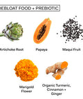 The Nue Co. DEBLOAT Food PREBIOTIC Latte Powder Gut Health and Digestion Instant Bloating Relief Tumeric Ginger Cinnamon with Digestive Enzymes Vegan GlutenFree SugarFree