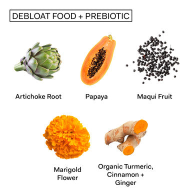 The Nue Co. DEBLOAT Food PREBIOTIC Latte Powder Gut Health and Digestion Instant Bloating Relief Tumeric Ginger Cinnamon with Digestive Enzymes Vegan GlutenFree SugarFree