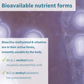 Super B-Complex - High Absorption Methylated B Vitamins, Clean Label, Sustained Release - Complete Spectrum Of B Vitamins With Folate, Boosted B12 & Vitamin C, 60 Tablets, By Igennus
