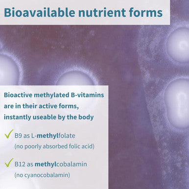 Super B-Complex - High Absorption Methylated B Vitamins, Clean Label, Sustained Release - Complete Spectrum Of B Vitamins With Folate, Boosted B12 & Vitamin C, 60 Tablets, By Igennus