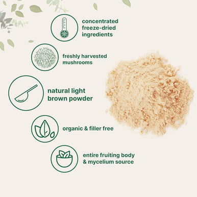 Micro Ingredients Organic Lions Mane Mushroom Supplement Powder 16 Ounce | Natural Superfood for Brain Energy & Immune Health | Non-GMO Vegan
