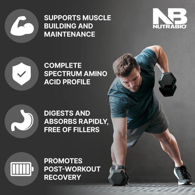 Nutrabio Classic Whey Protein Powder- Full-Spectrum Amino Acid Profile - No Fillers Artificial Colors Preservatives - Low Glycemic Index - Chocolate Milkshake 5 Pounds