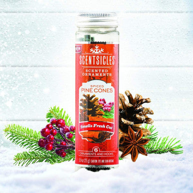 Scentsicles Spiced Pine Scented Ornaments with Hooks - 2 Bottles (12 Sticks Total)