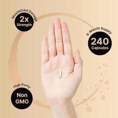 Naturebell High Potency Zinc Picolinate 100Mg - 240 Capsules, Bioavailable Form Of Zinc For Immune Support And Skin Health - Non-Gmo And Gluten- Zinc Supplements