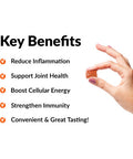 Force Factor Better Turmeric Inflammation Supplement for Extra Strength Joint Support, Featuring HydroCurc Turmeric Curcumin with Black , Garlic Extract Supplement, 60 Soft Chews