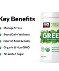 Force Factor Organics Greens Superfood Powder for Relief and Daily Wellness, Greens Powder with KSM-66 Ashwagan, Moringa, Spirulina Powder, Vegan and Non-GMO, Fresh Apple, 30 Servings
