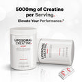 Codeage Liposomal Creatine Powder Supplement - 3-Month Supply - 5000mg Creatine Monohydrate Pre Workout & Post Workouts - Unflavored Creatine Pure Creatine Powder Creatinine for Sports - 90 Servings