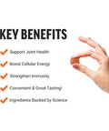 Force Factor Better Turmeric Joint Support Supplement for Extra Strength Joint Health Featuring HydroCurc Turmeric Curcumin with Black Pepper for Superior Absorption Fruit Splash 60 Soft Chews
