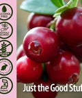 Nature'S Answer Alcohol Cranberry Extract 1 Fluid oz. Potent 10000 mg Fresh Cranberry
