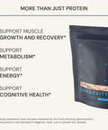 Blueprint Bryan Johnson Longevity Protein 26G Plant Protein Non Dairy Grape Seed Extract Heavy Metal Tested Vegan Keto Original 30 Servings