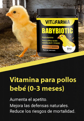 VITOFARMA VITAMINA EN POLVO para POLLITOS BABYBIOTIC 226g