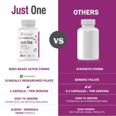Just One Daily Methylated Multivitamin - 60 Caps Pure Methyl B12, Methylfolate Mthfr Support Supplement Iron Methylated Vitamins For Men & Women 2 Months Supply Gluten Free