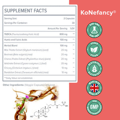 KoNefancy Tudca Liver Supplements 1000 Mg-Bile Salts For Liver Cleanse Detox-Milk Thistle Herbal Blend With Fulvic And Humic Acid For Liver,Digestive Health,120 Vegan Capsules