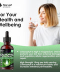 Liquid Chlorophyll - Chlorophyll Drops For Water 100Ml For 100 Servings - High Strength 100Mg Chlorophyll Liquid Drink - Made In Uk By Leaf Products