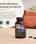 Gaia Herbs Adrenal Health Daily Support - with Ashwagan, Holy Basil & Schisandra - Herbal Supplement to Help Maintain Healthy Energy and Levels - 120 Liquid Phyto-Capsules (120 Count)