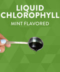 Nature'S Way Chlorofresh, Liquid Chlorophyll, Supports Healthy Skin & Body Detox*, Internal Deodorant*, Mint Flavored, 16 Fl. Oz (Packaging May Vary)