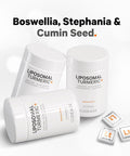 Codeage Organic Turmeric Supplement - 95% Curcumin Extract Pills - Liposomal Fermented Botanical Blend Black Pepper Ashwagandha Ginger Stephania Boswelia Cumin Digestive Bitters - 90 Capsules