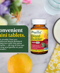 MegaFood Blood Builder Minis 72 Ct