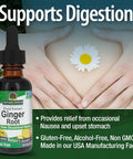 Nature's Answer Ginger Root 30ml