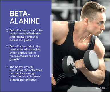 Nui Nutra Beta-Alanine Powder Supplement | 240G | 80 Servings | Helps Build Muscle Mass, Carnosine Levels, & Athletic Performance | Supports Muscular Endurance